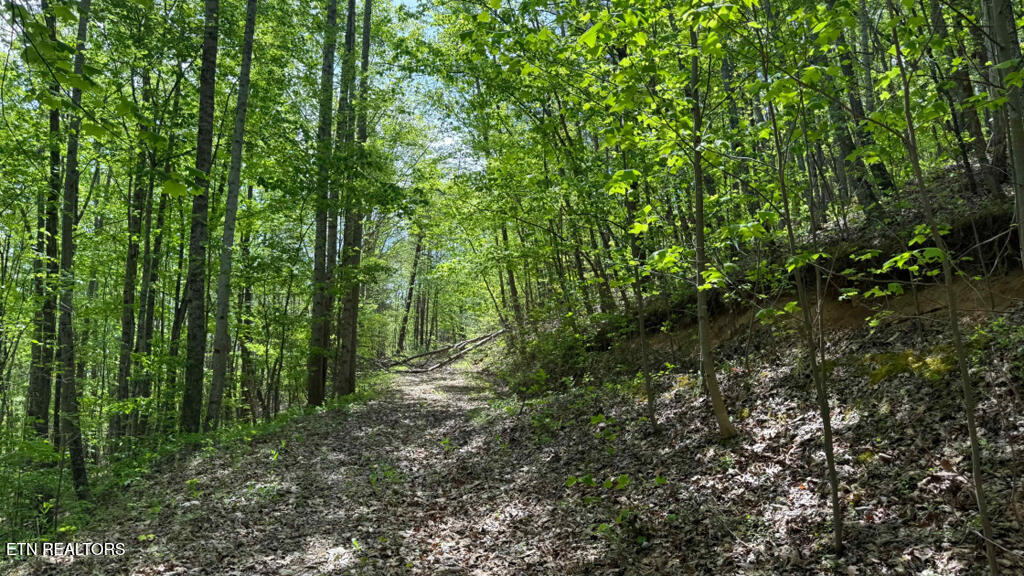 285 Highlands Bluff Tellico Plains TN 37385