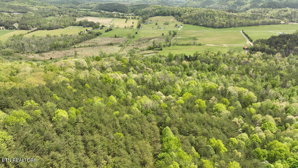 285 Highlands Bluff Tellico Plains TN 37385