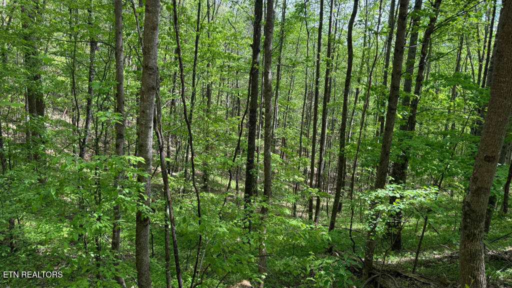 285 Highlands Bluff Tellico Plains TN 37385