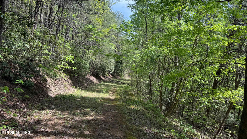 285 Highlands Bluff Tellico Plains TN 37385