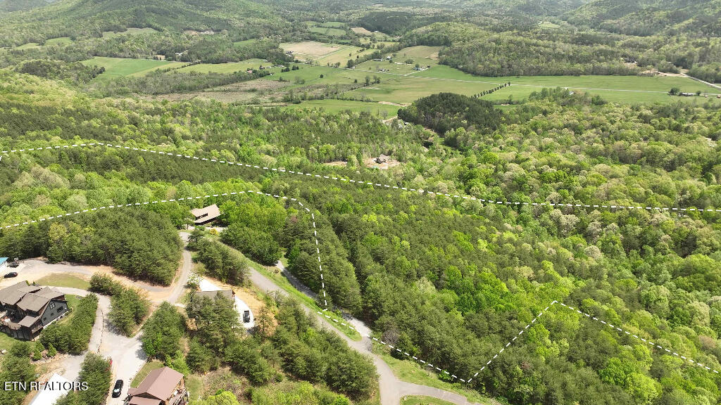 285 Highlands Bluff Tellico Plains TN 37385
