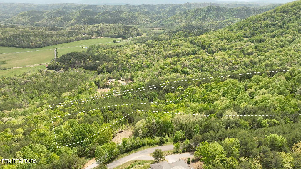 285 Highlands Bluff Tellico Plains TN 37385