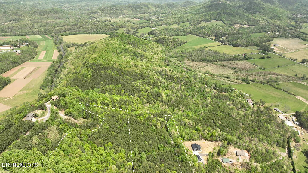 285 Highlands Bluff Tellico Plains TN 37385