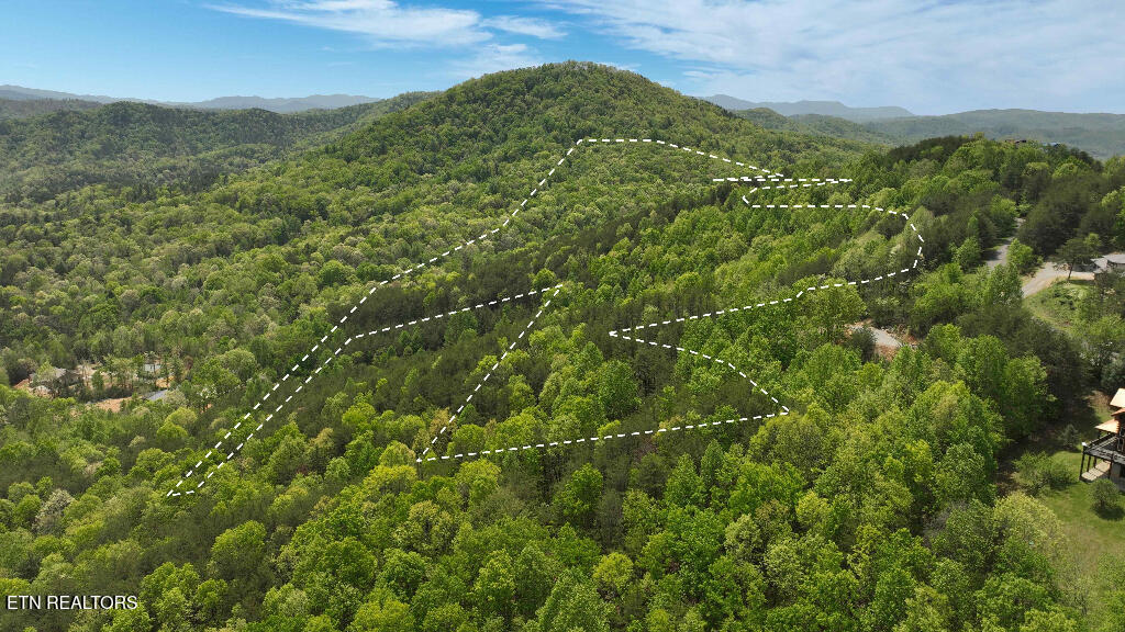 285 Highlands Bluff Tellico Plains TN 37385