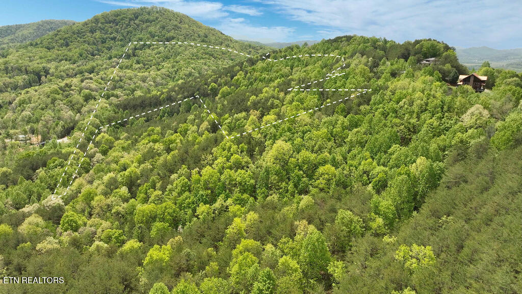 285 Highlands Bluff Tellico Plains TN 37385
