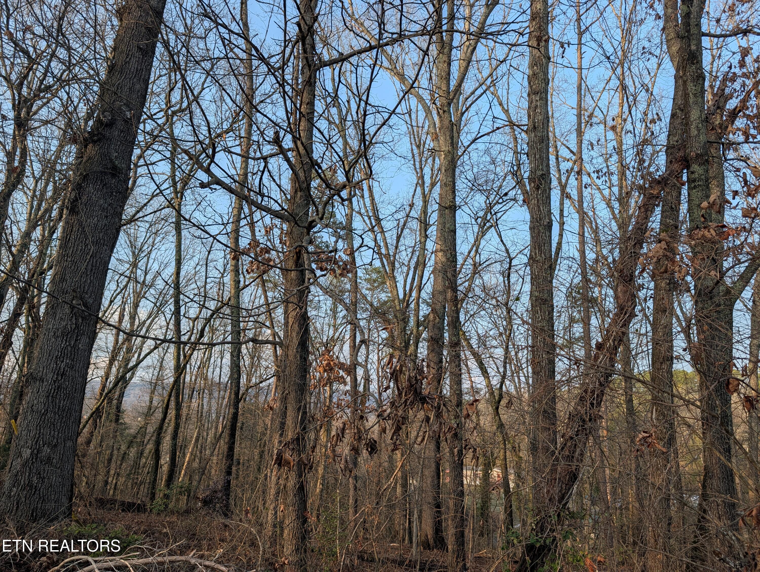 0 Pine Breeze Circle Rockwood TN 37854