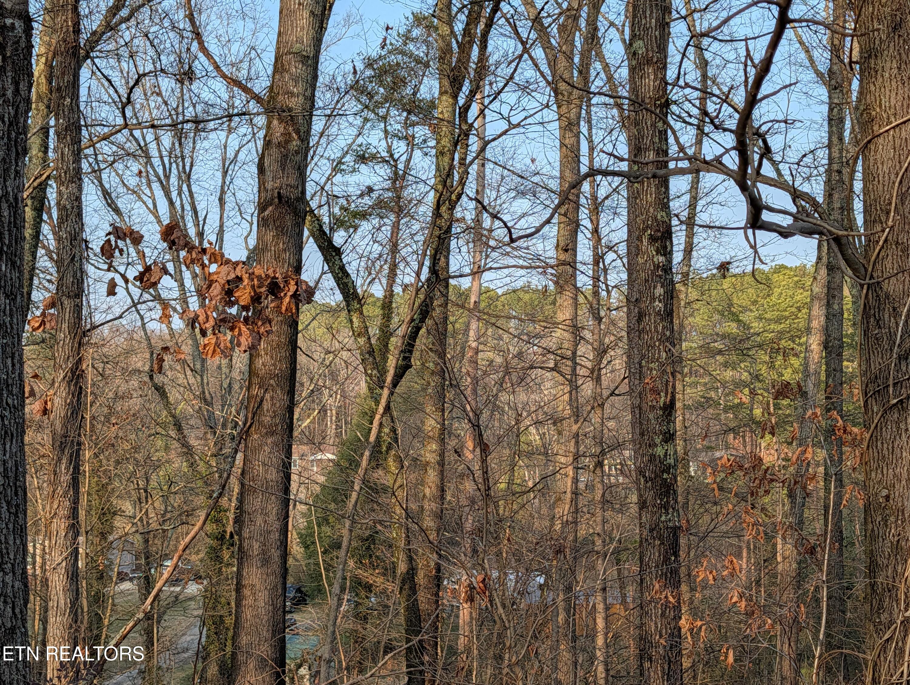 0 Pine Breeze Circle Rockwood TN 37854