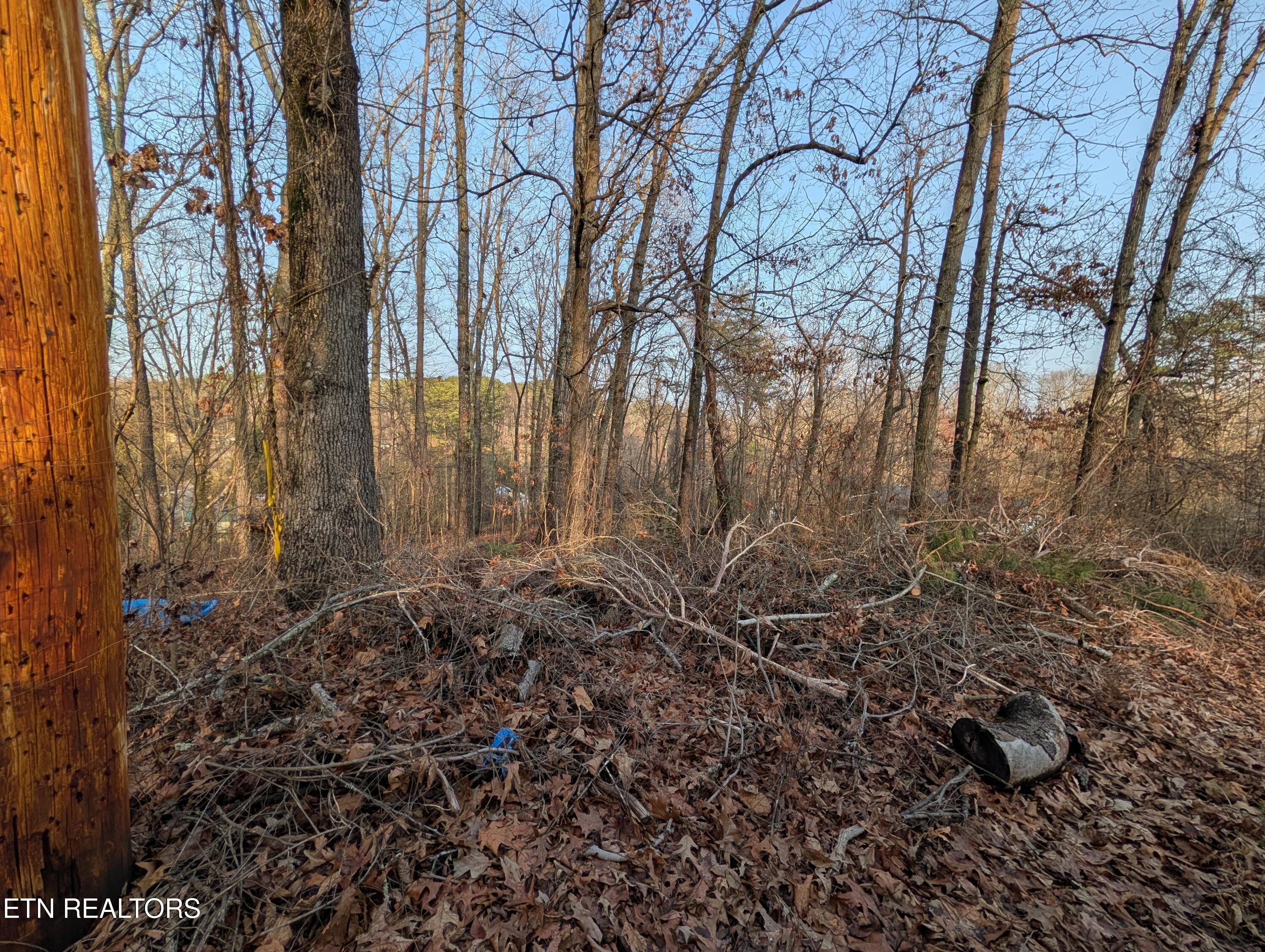 0 Pine Breeze Circle Rockwood TN 37854