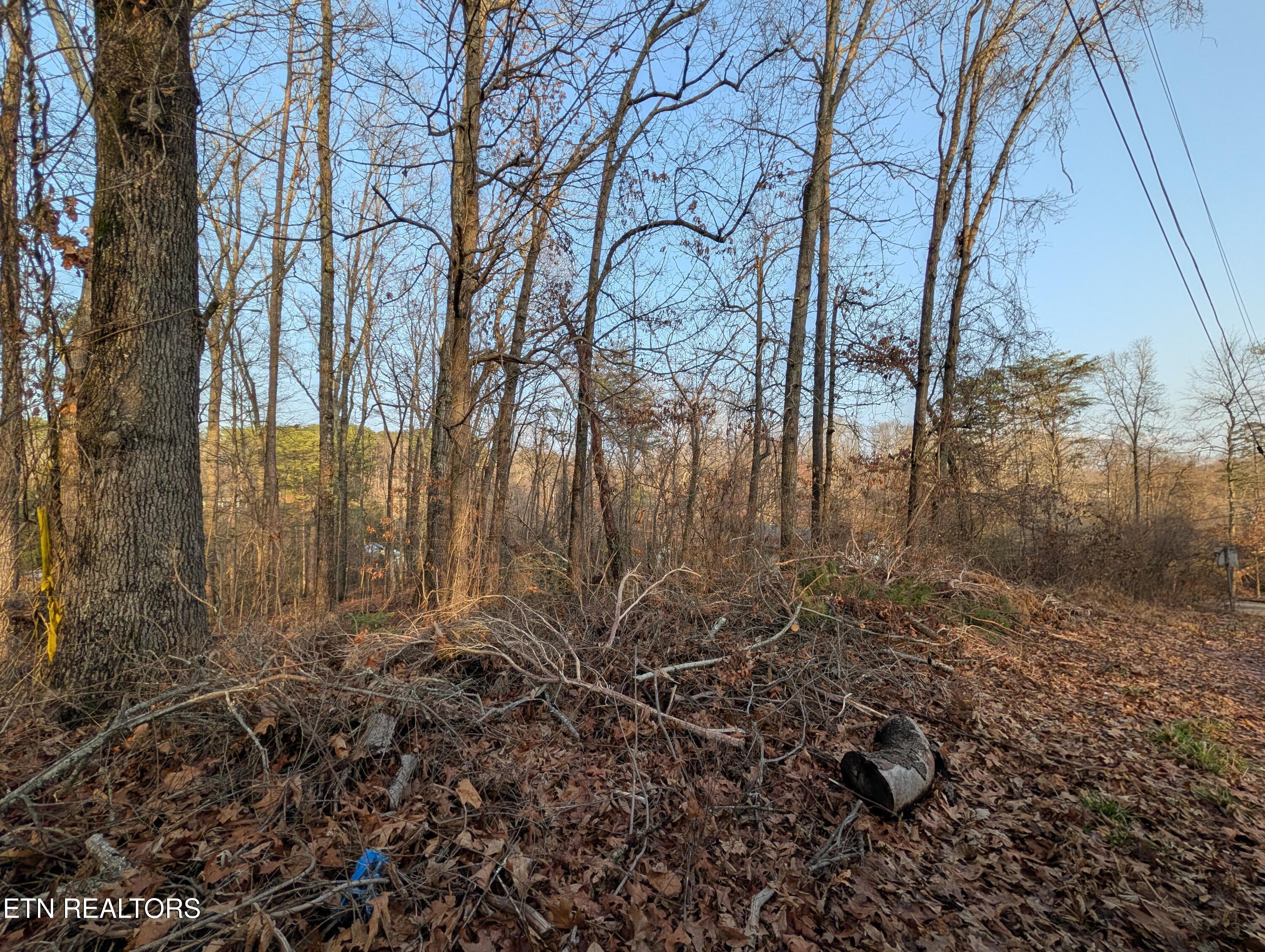 0 Pine Breeze Circle Rockwood TN 37854