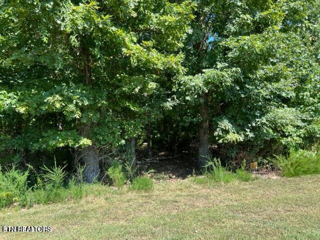 E Shore Drive Rockwood TN 37854