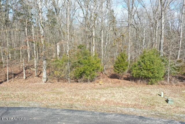 E Shore Drive Rockwood TN 37854