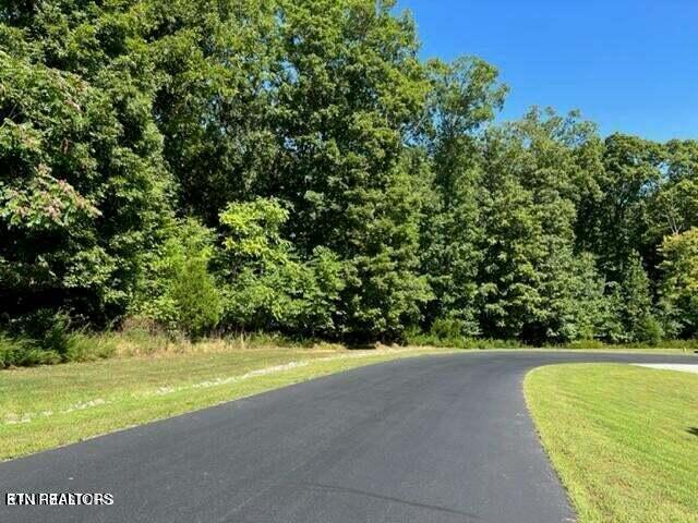 E Shore Drive Rockwood TN 37854