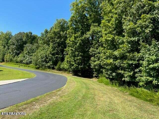 E Shore Drive Rockwood TN 37854