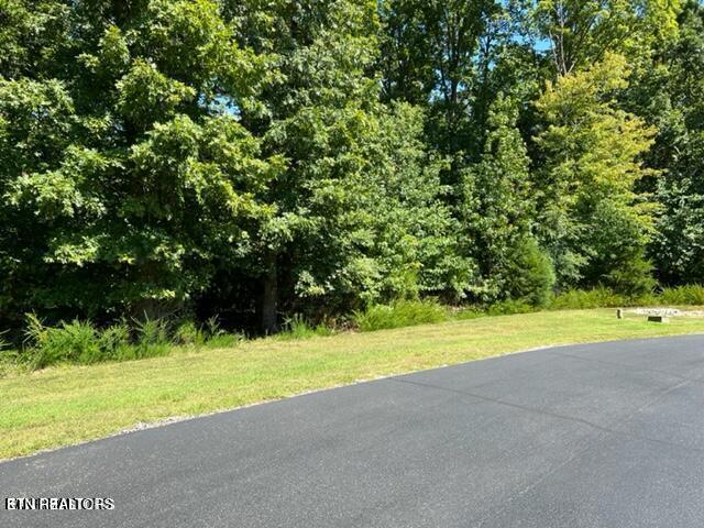 E Shore Drive Rockwood TN 37854