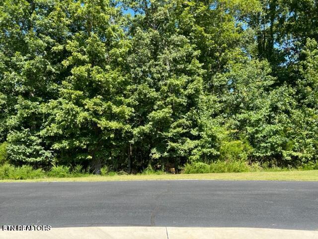 E Shore Drive Rockwood TN 37854