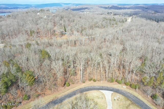 E Shore Drive Rockwood TN 37854