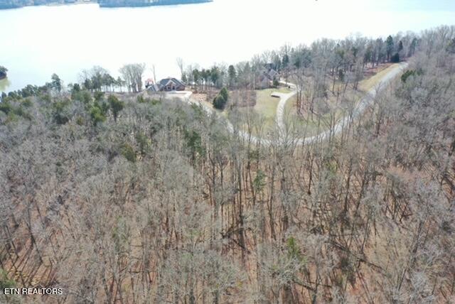 E Shore Drive Rockwood TN 37854