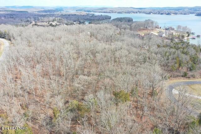 E Shore Drive Rockwood TN 37854
