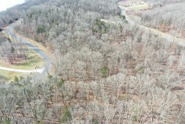 E Shore Drive Rockwood TN 37854