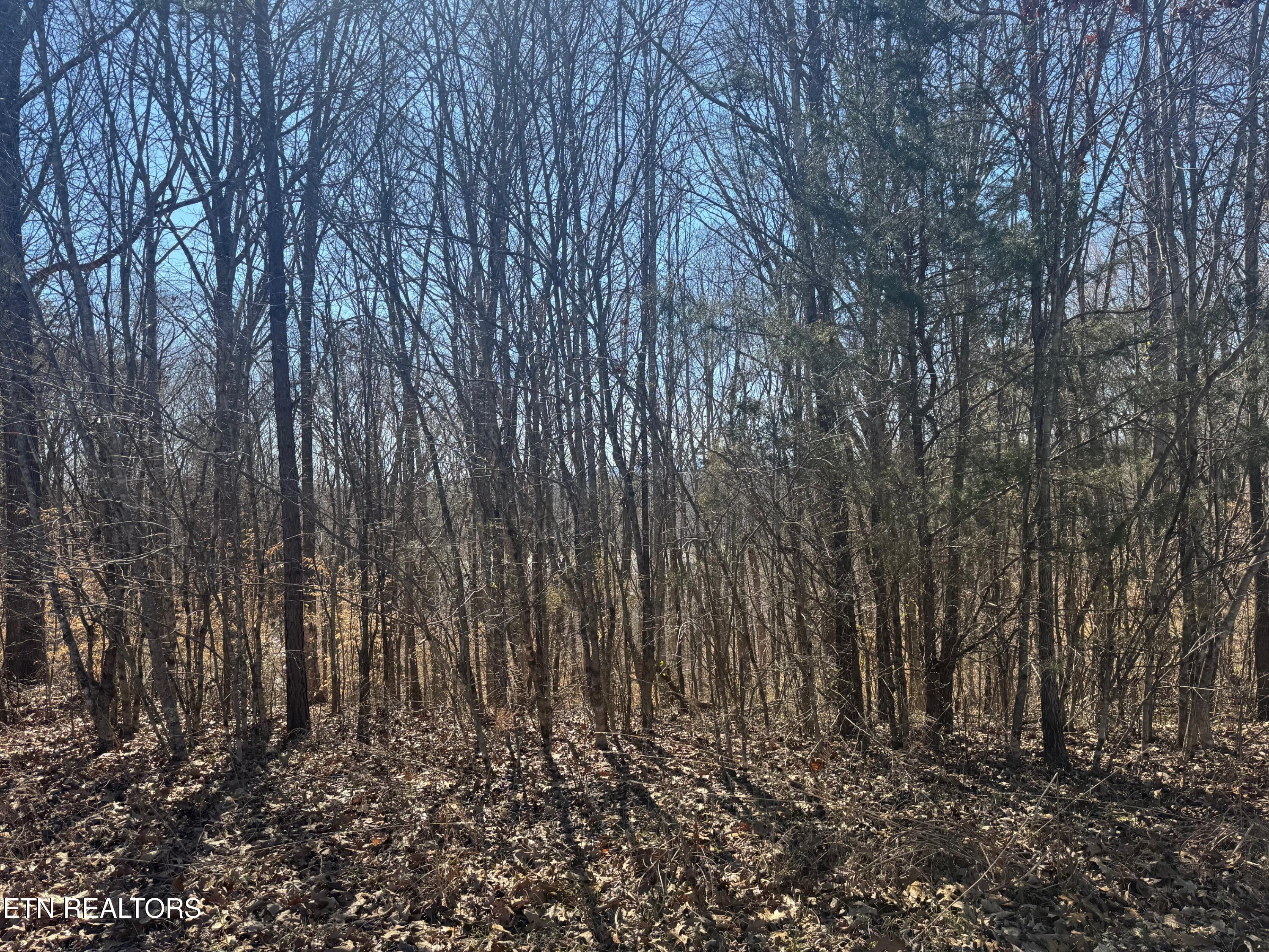 Lot 71 Saddle Ridge Drive Speedwell TN 37870