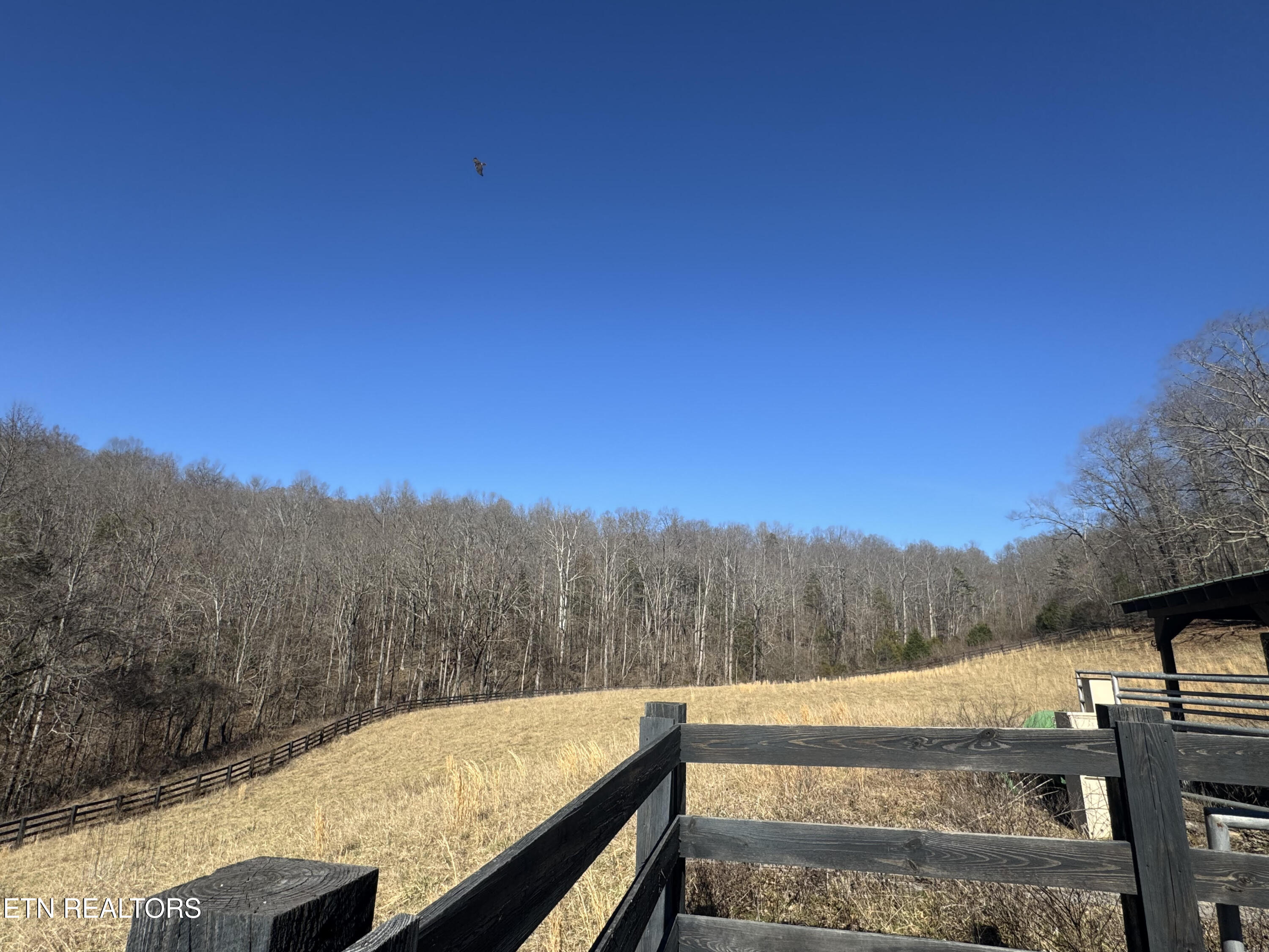 Lot 71 Saddle Ridge Drive Speedwell TN 37870