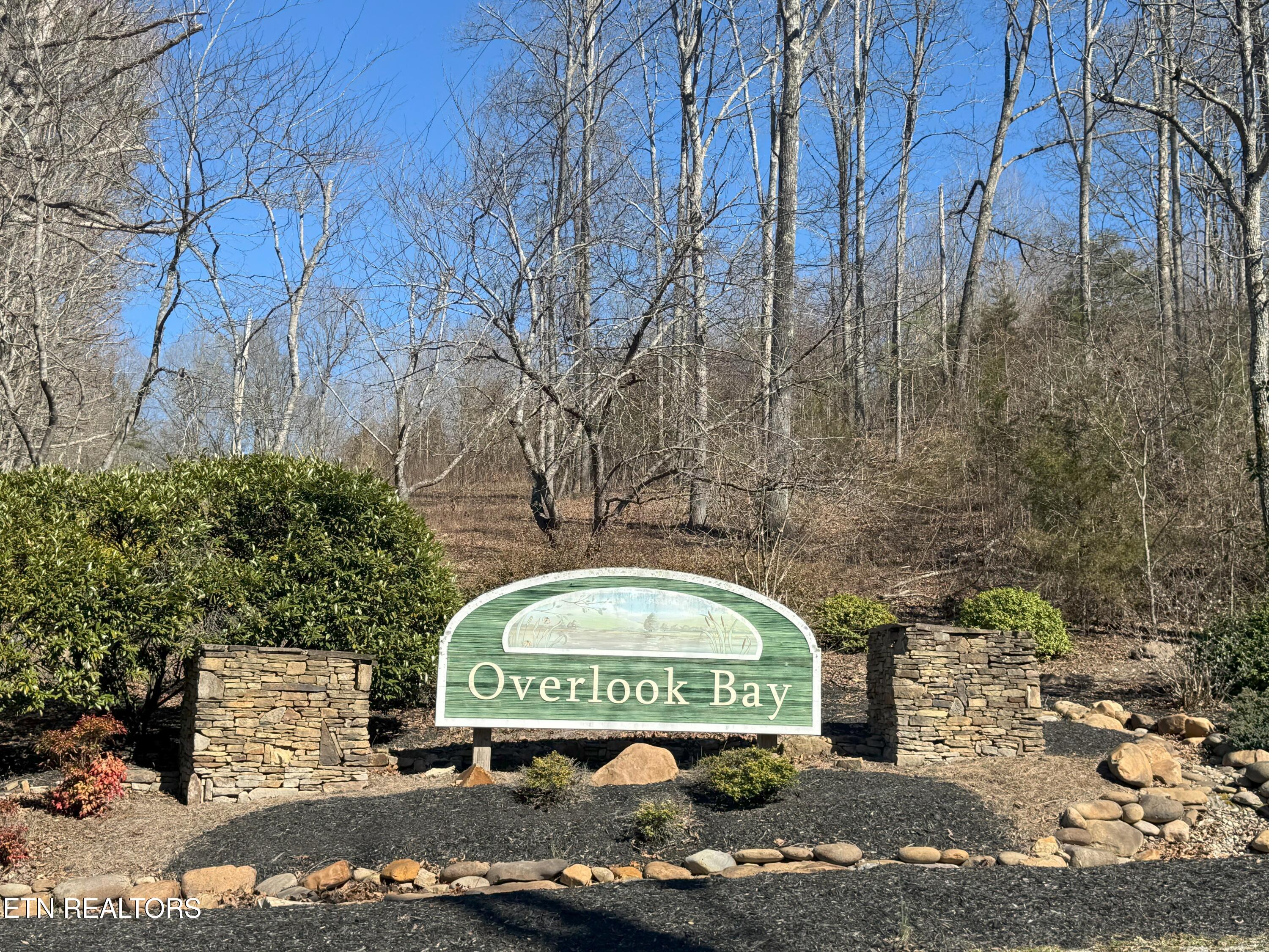 Lot 71 Saddle Ridge Drive Speedwell TN 37870