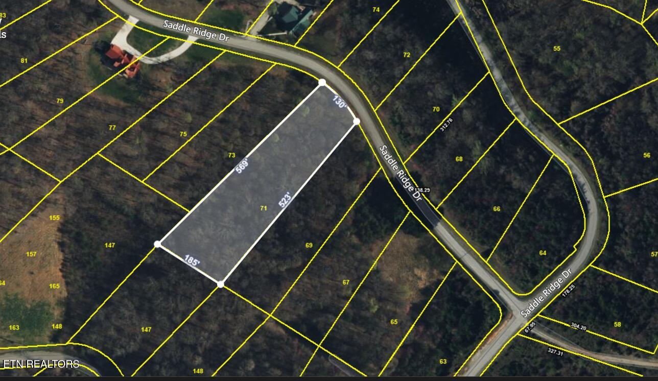 Lot 71 Saddle Ridge Drive Speedwell TN 37870