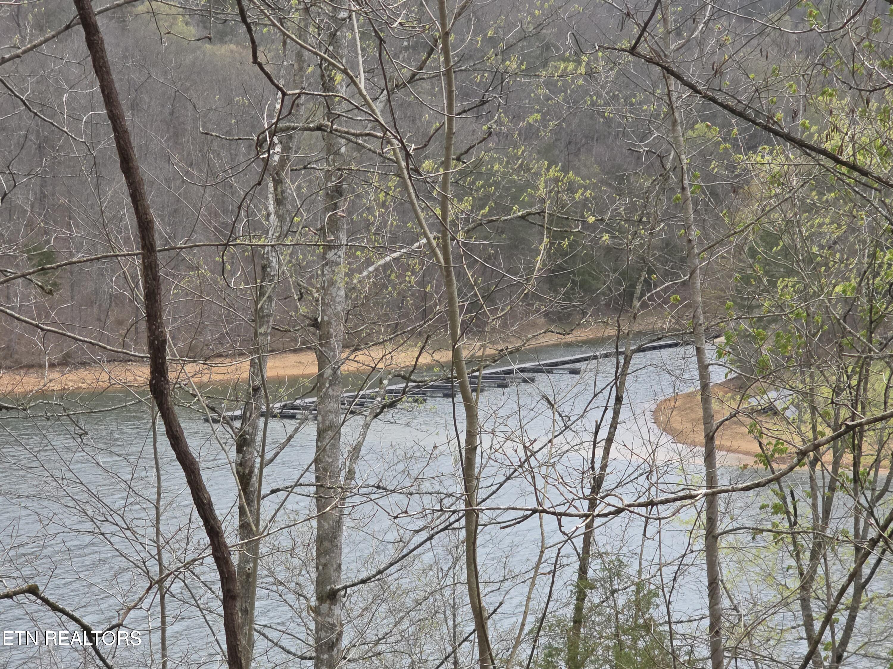 Lot 71 Saddle Ridge Drive Speedwell TN 37870