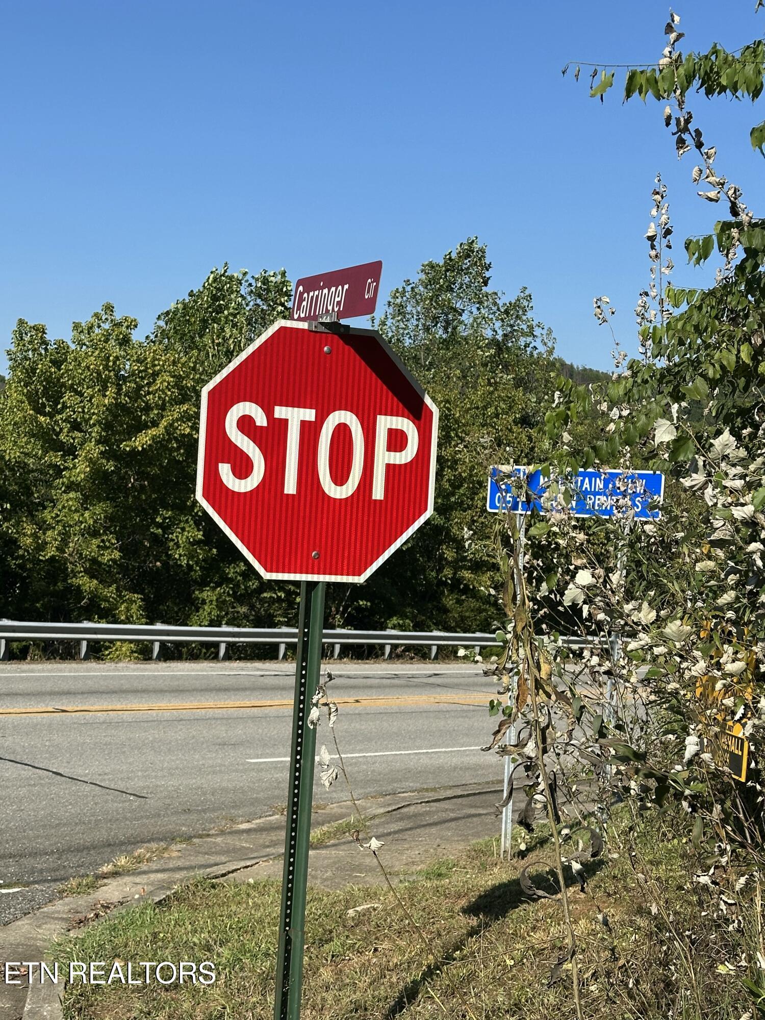 Carringer Circle Tellico Plains TN 37385