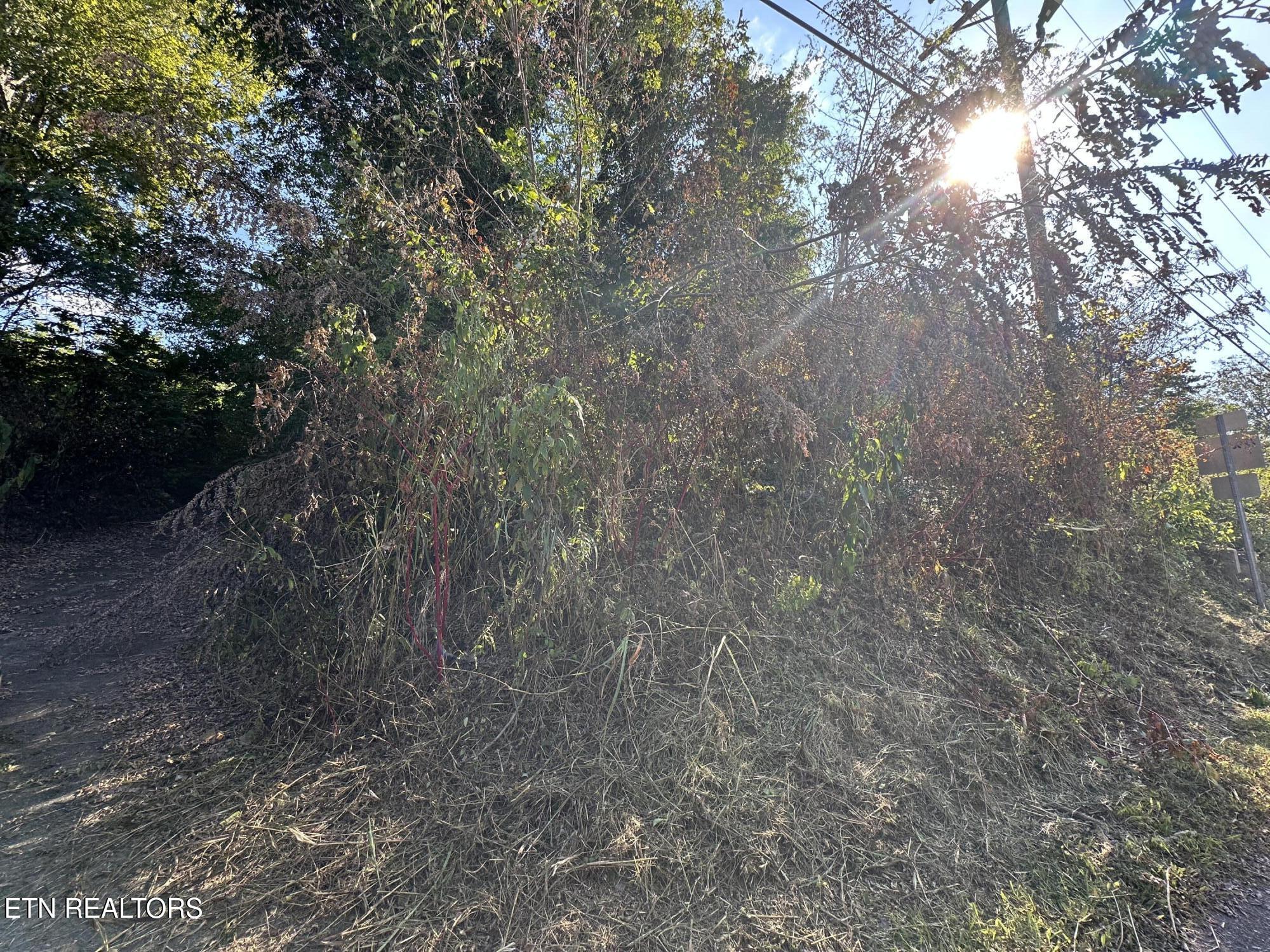 Carringer Circle Tellico Plains TN 37385