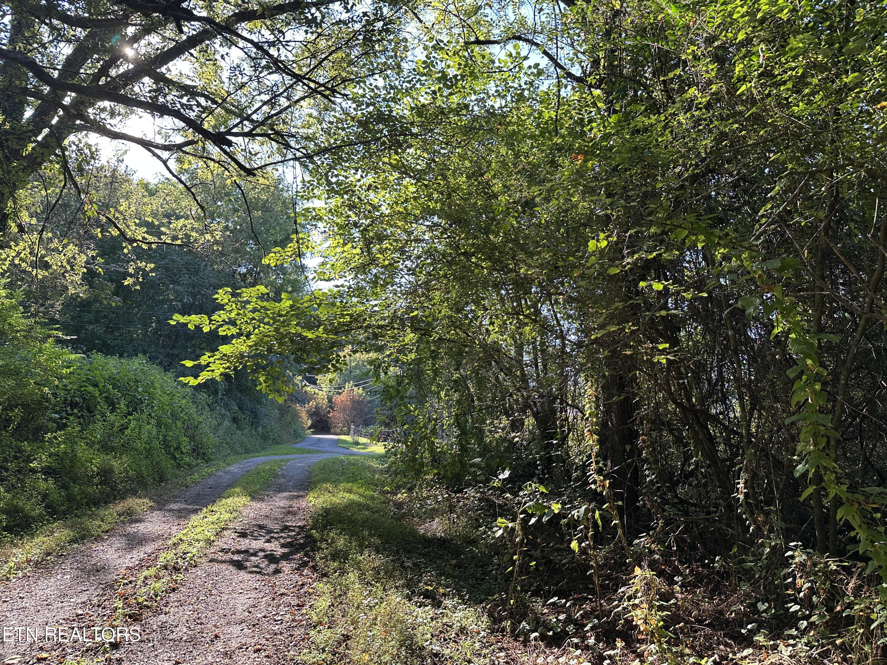 Carringer Circle Tellico Plains TN 37385