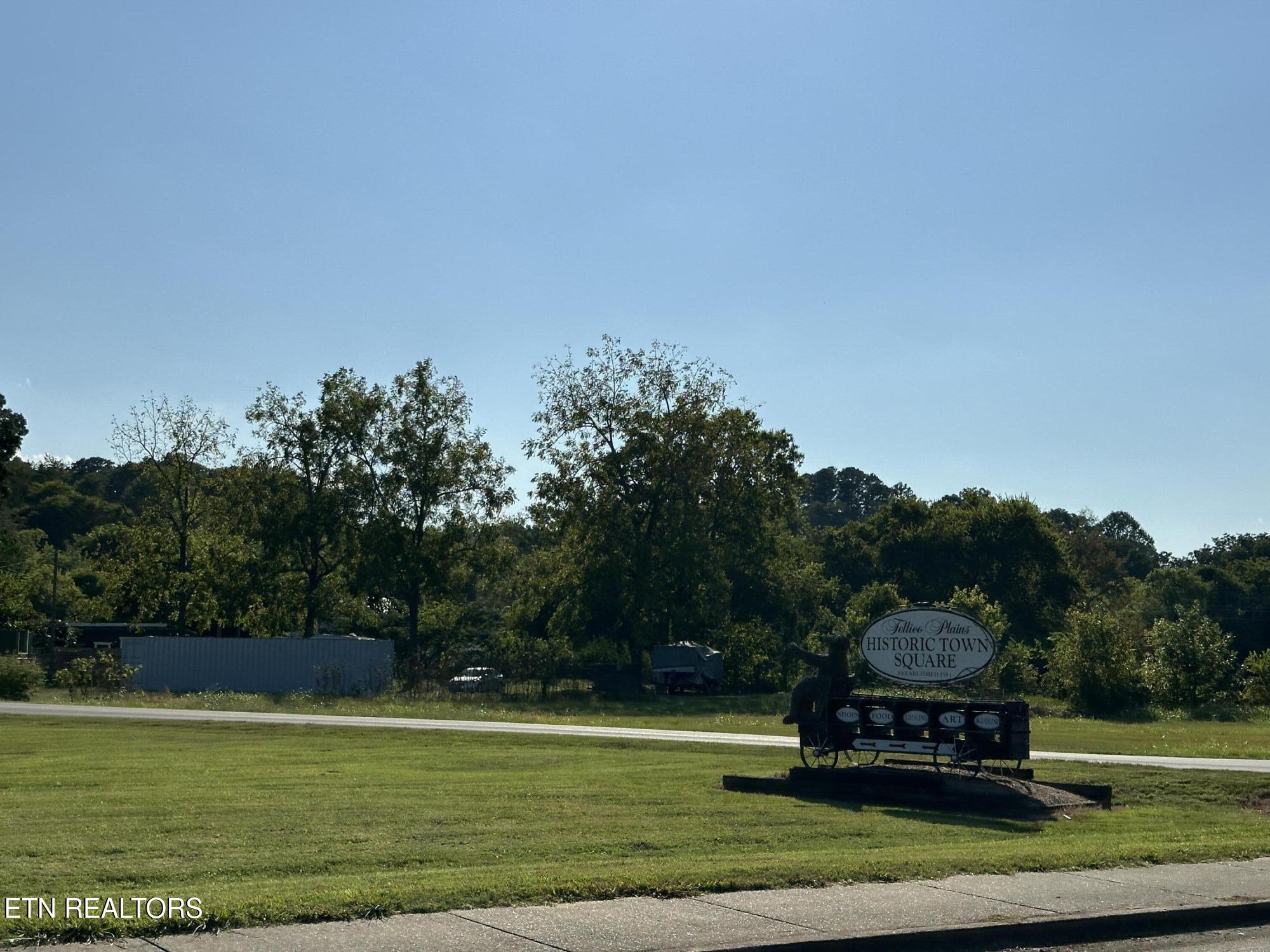 Carringer Circle Tellico Plains TN 37385