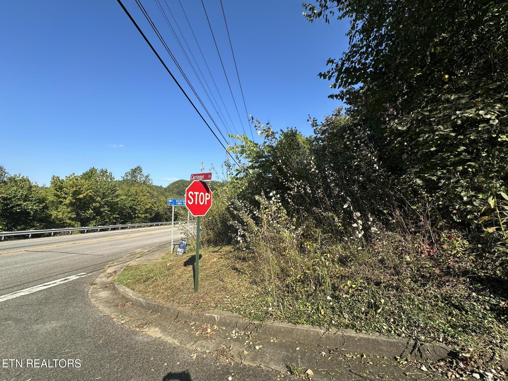 Carringer Circle Tellico Plains TN 37385