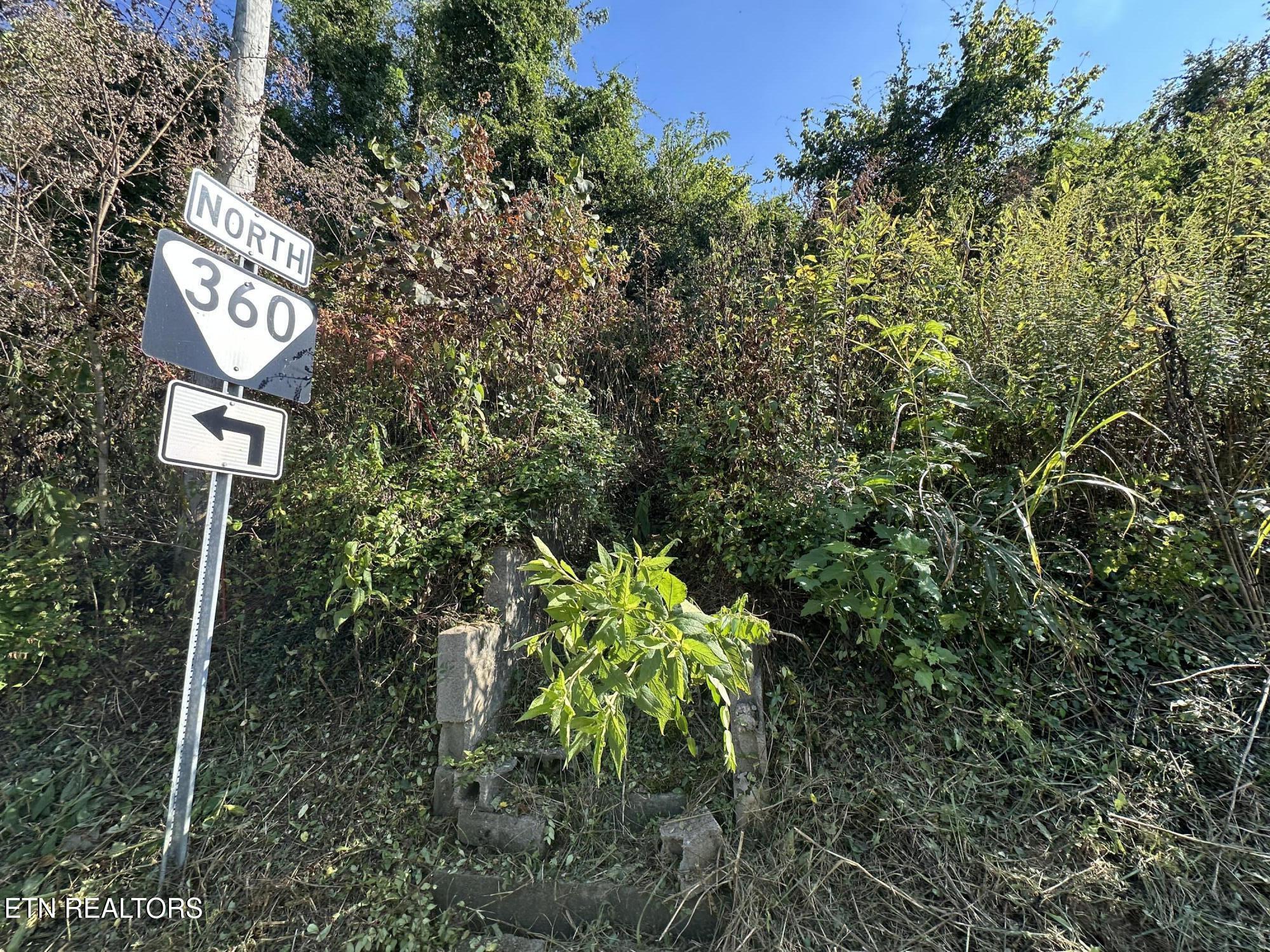 Carringer Circle Tellico Plains TN 37385