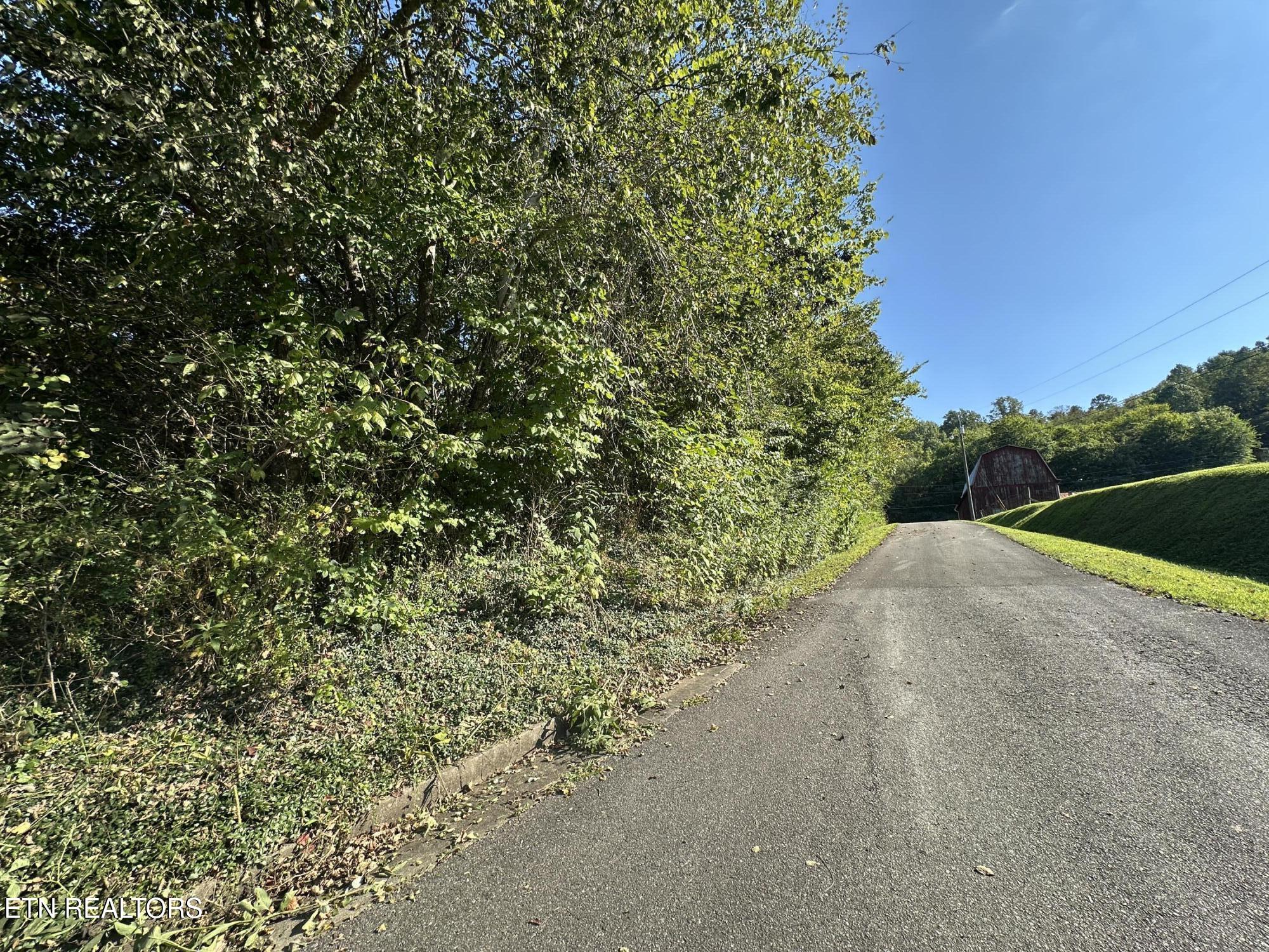 Carringer Circle Tellico Plains TN 37385