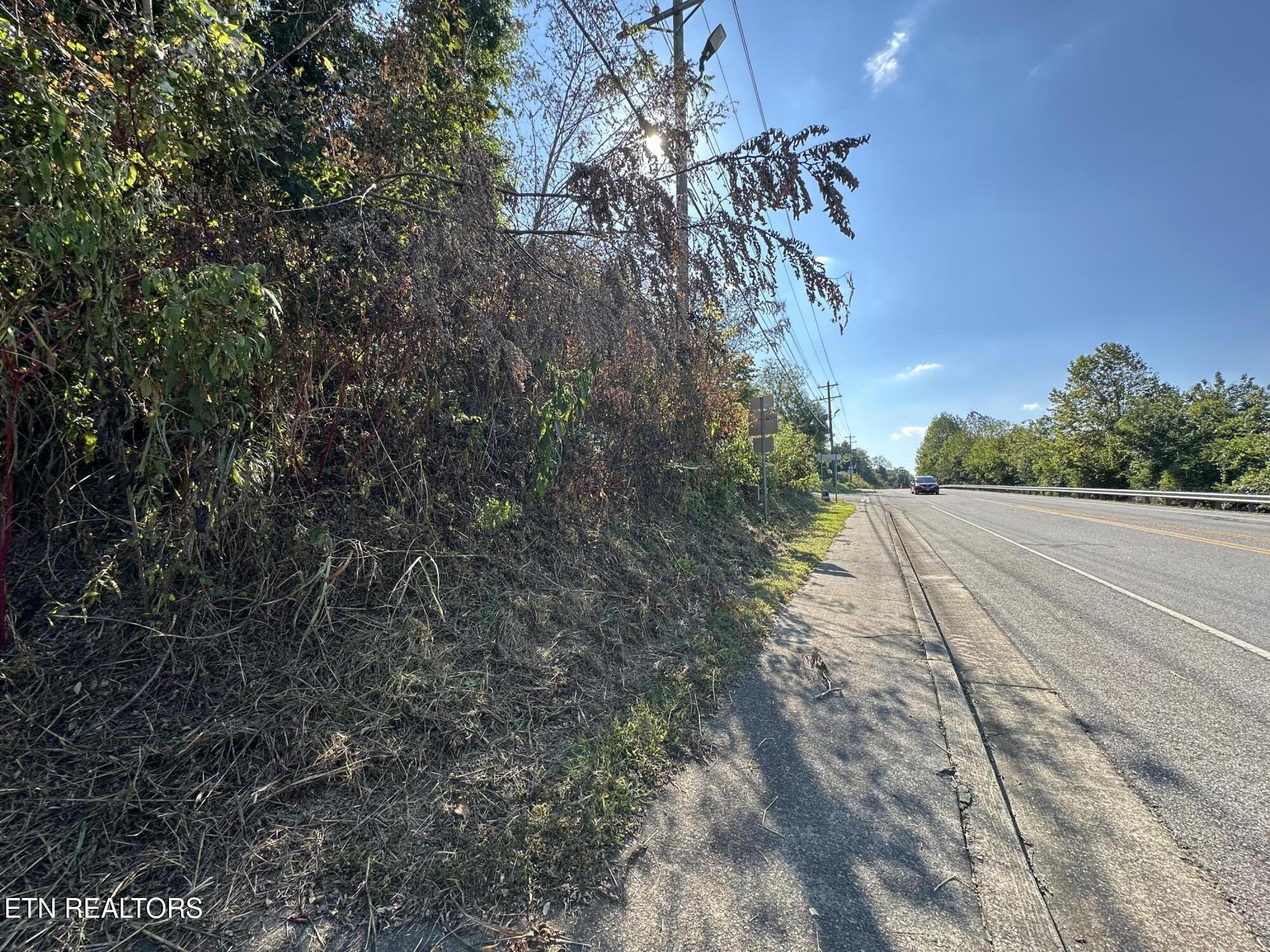 Carringer Circle Tellico Plains TN 37385