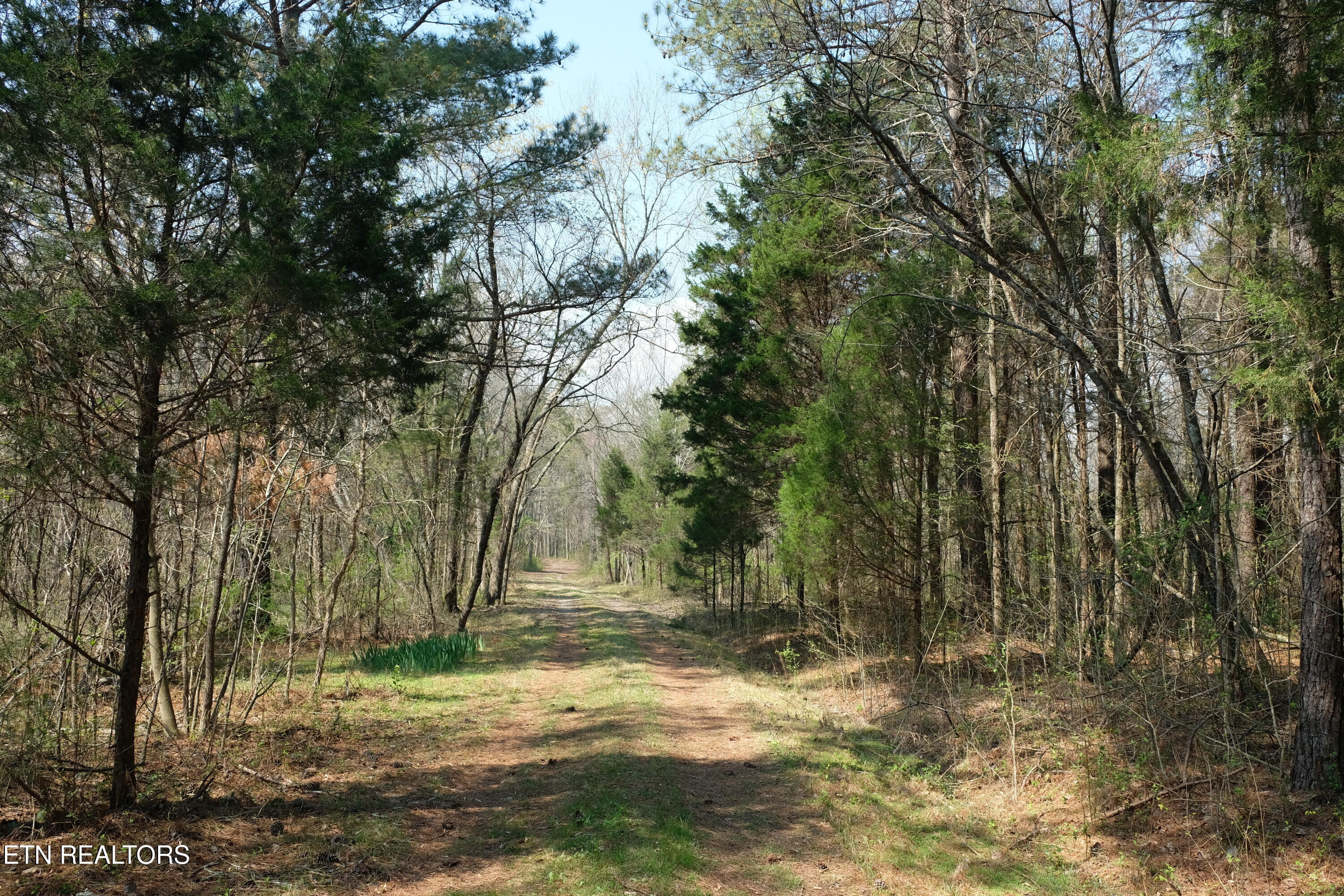 3578 Wolf Creek Road Spring City TN 37381