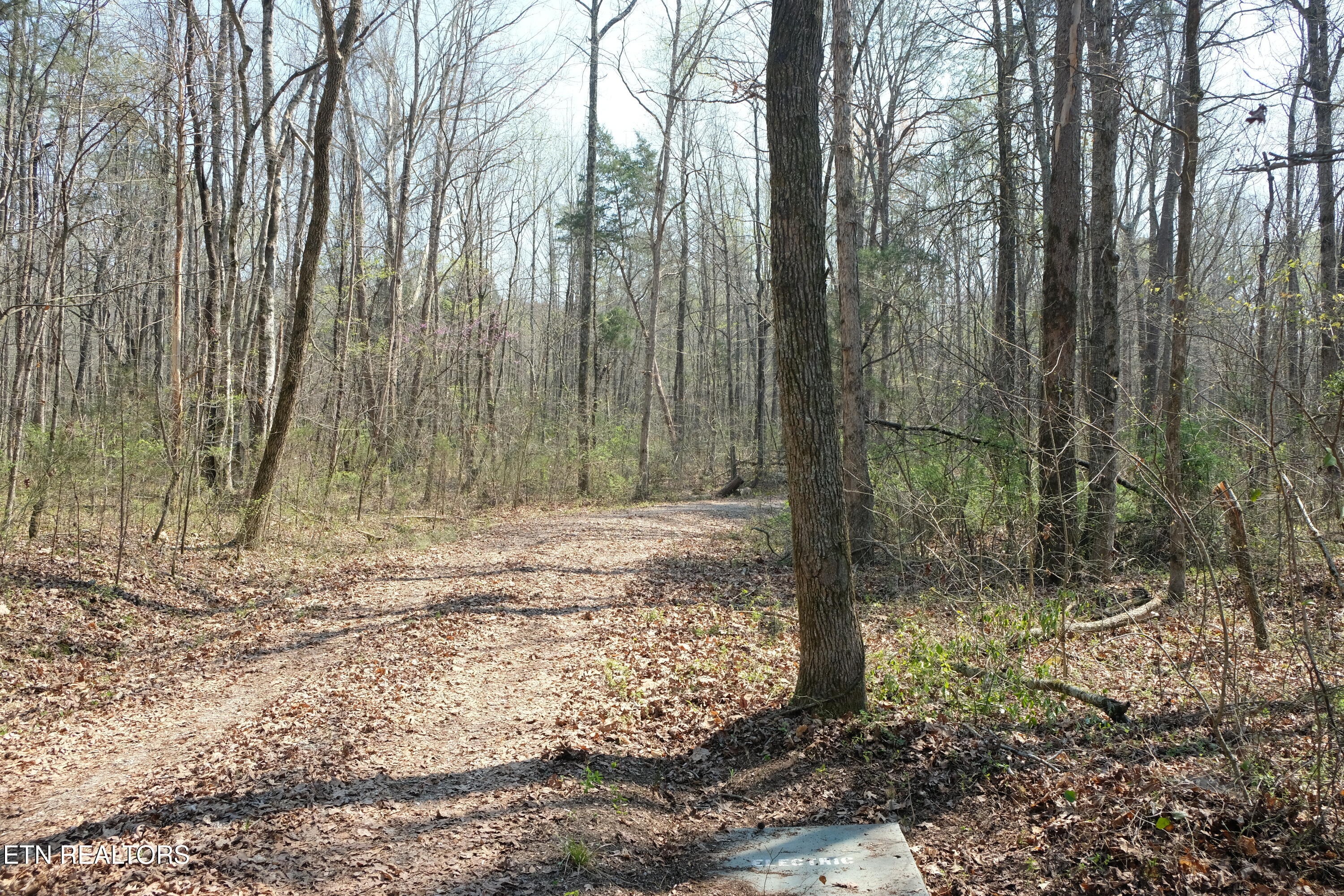 3578 Wolf Creek Road Spring City TN 37381