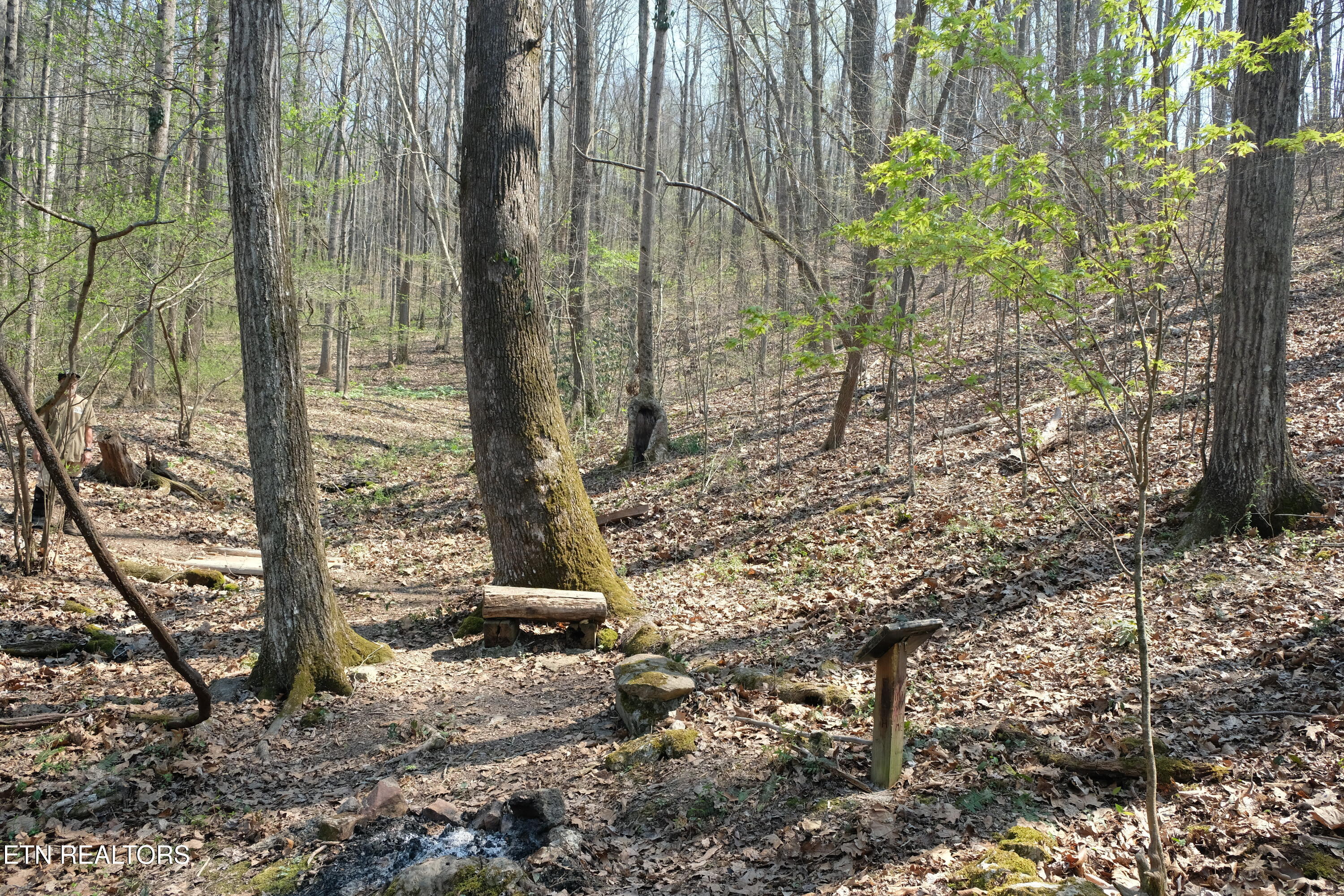 3578 Wolf Creek Road Spring City TN 37381