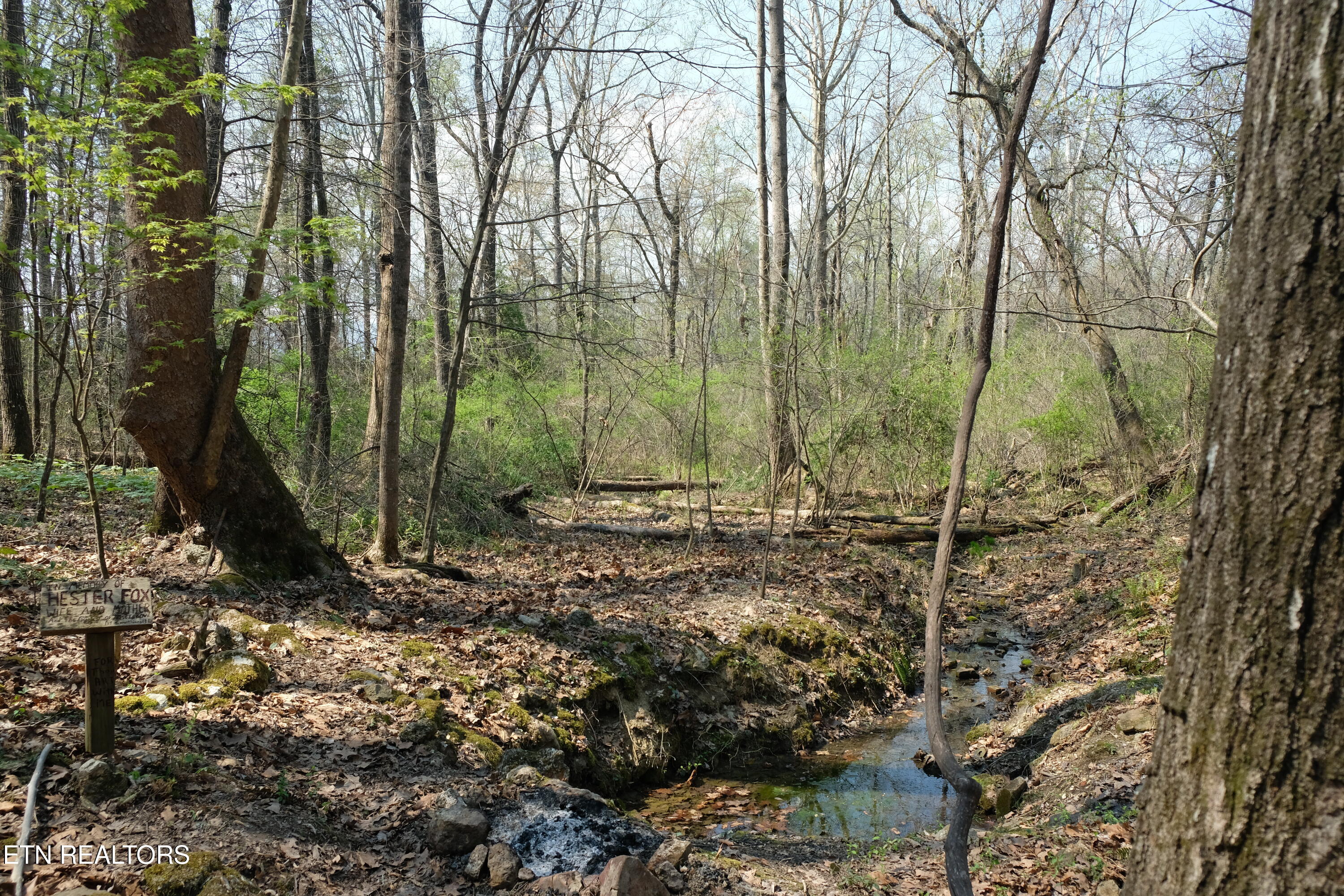 3578 Wolf Creek Road Spring City TN 37381