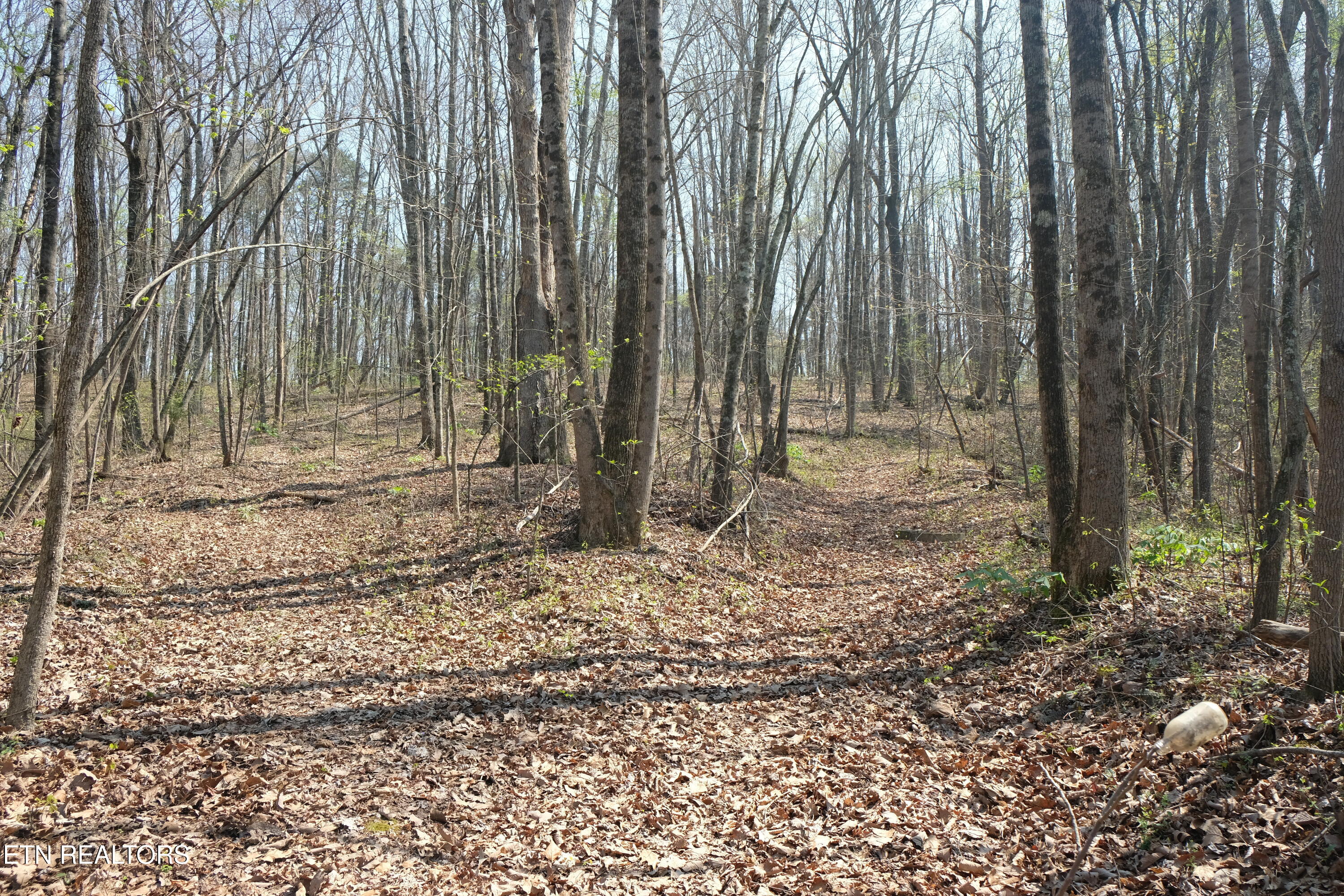 3578 Wolf Creek Road Spring City TN 37381