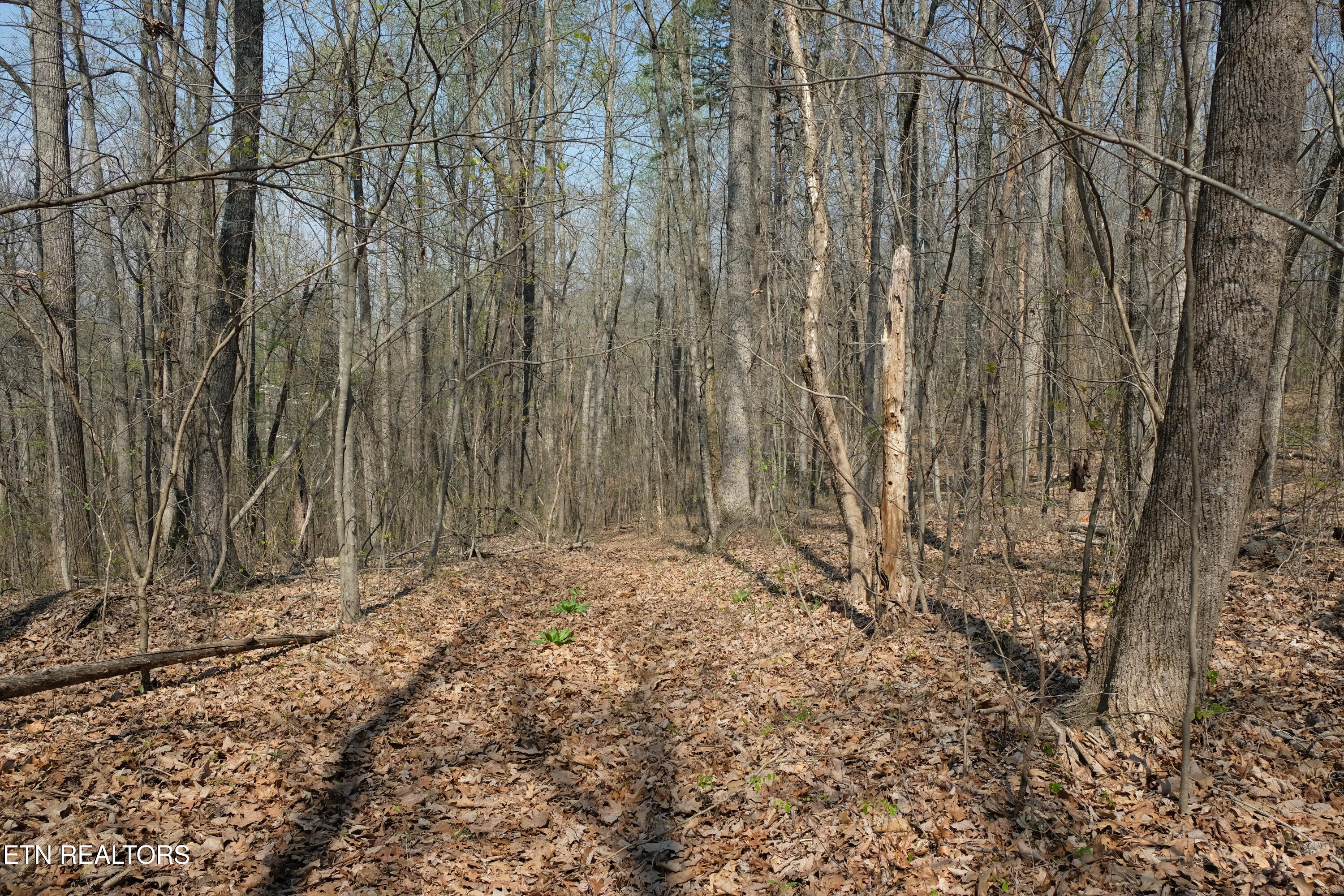 3578 Wolf Creek Road Spring City TN 37381