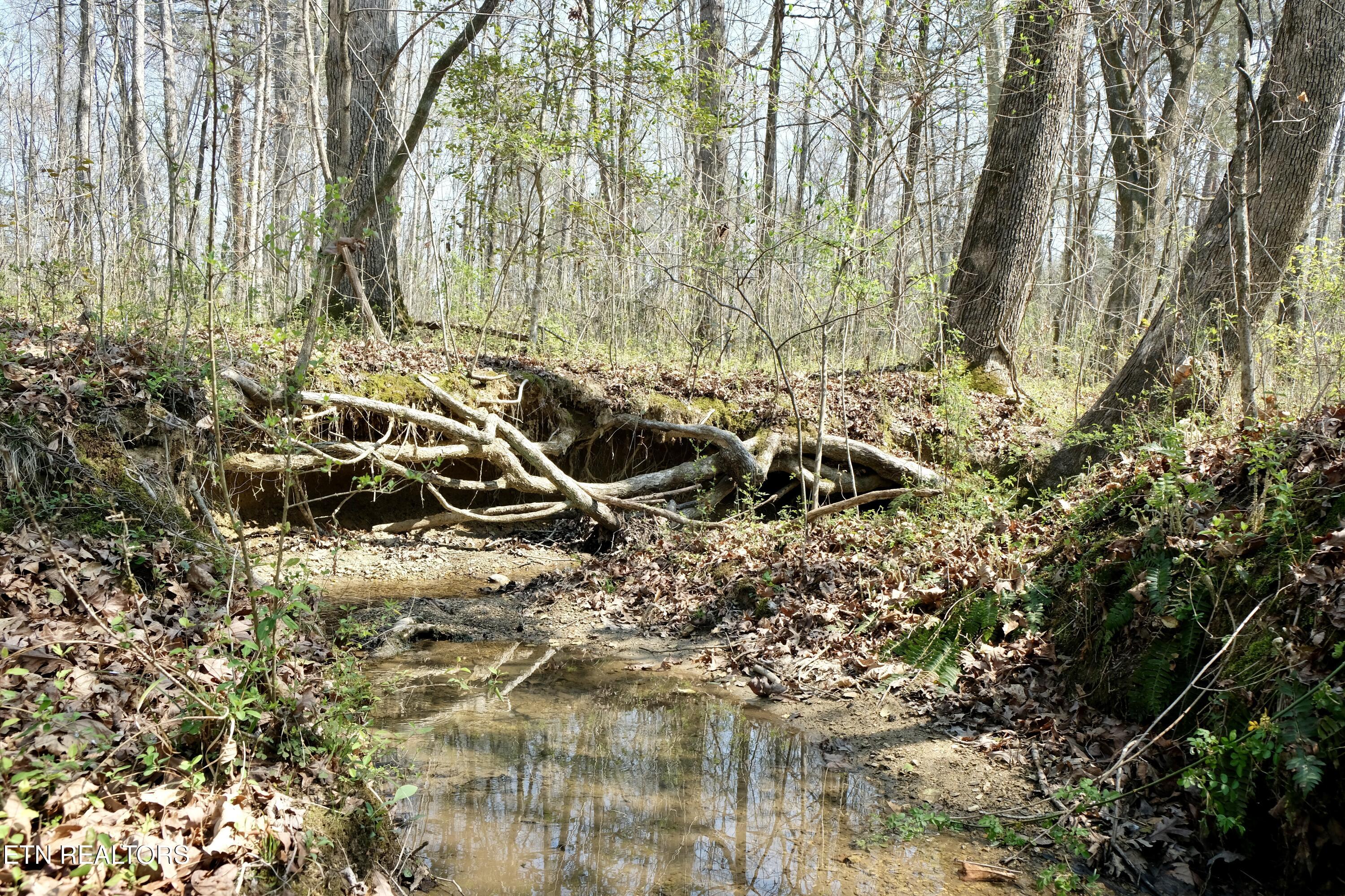 3578 Wolf Creek Road Spring City TN 37381