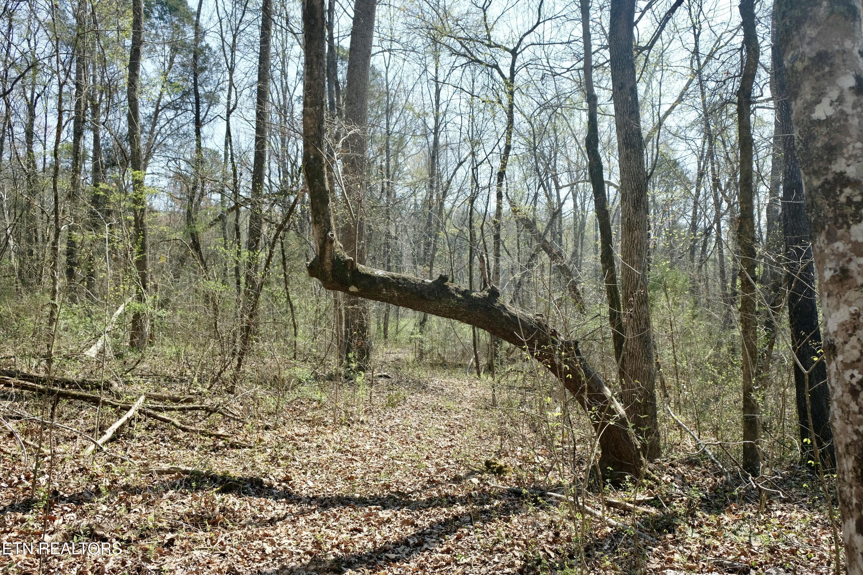 3578 Wolf Creek Road Spring City TN 37381