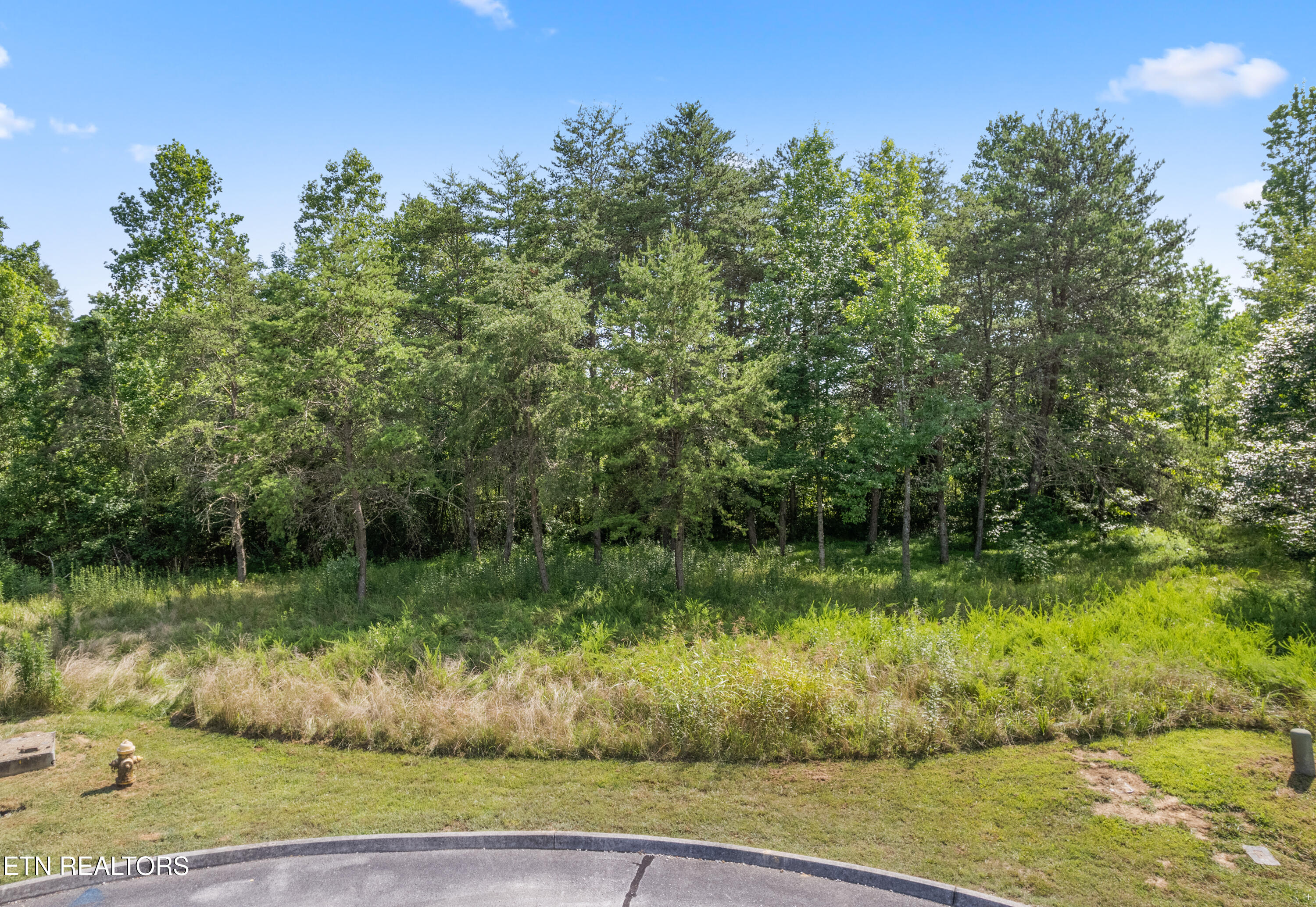 Creekside Drive Harriman TN 37748