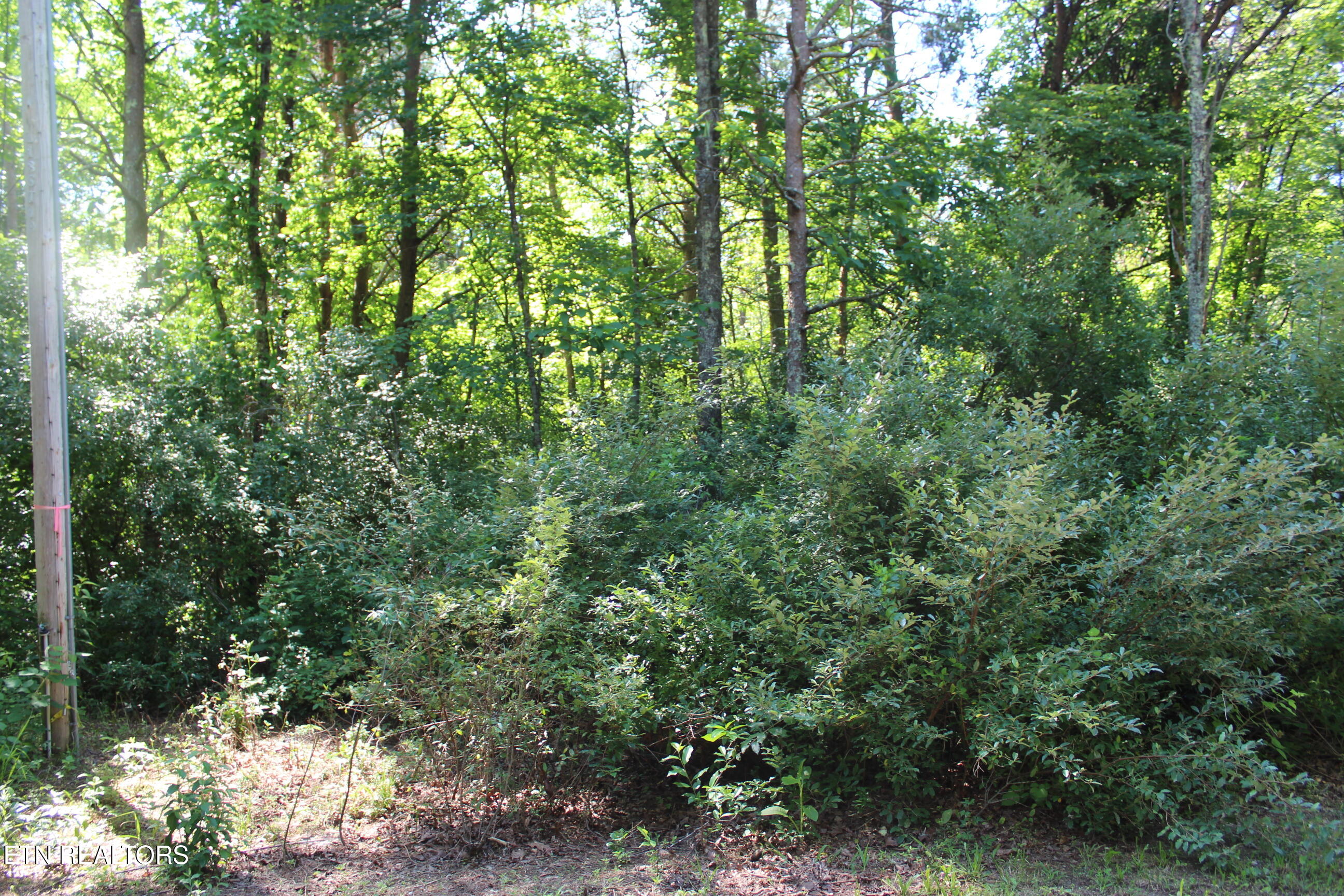 Goney Road Grimsley TN 38565