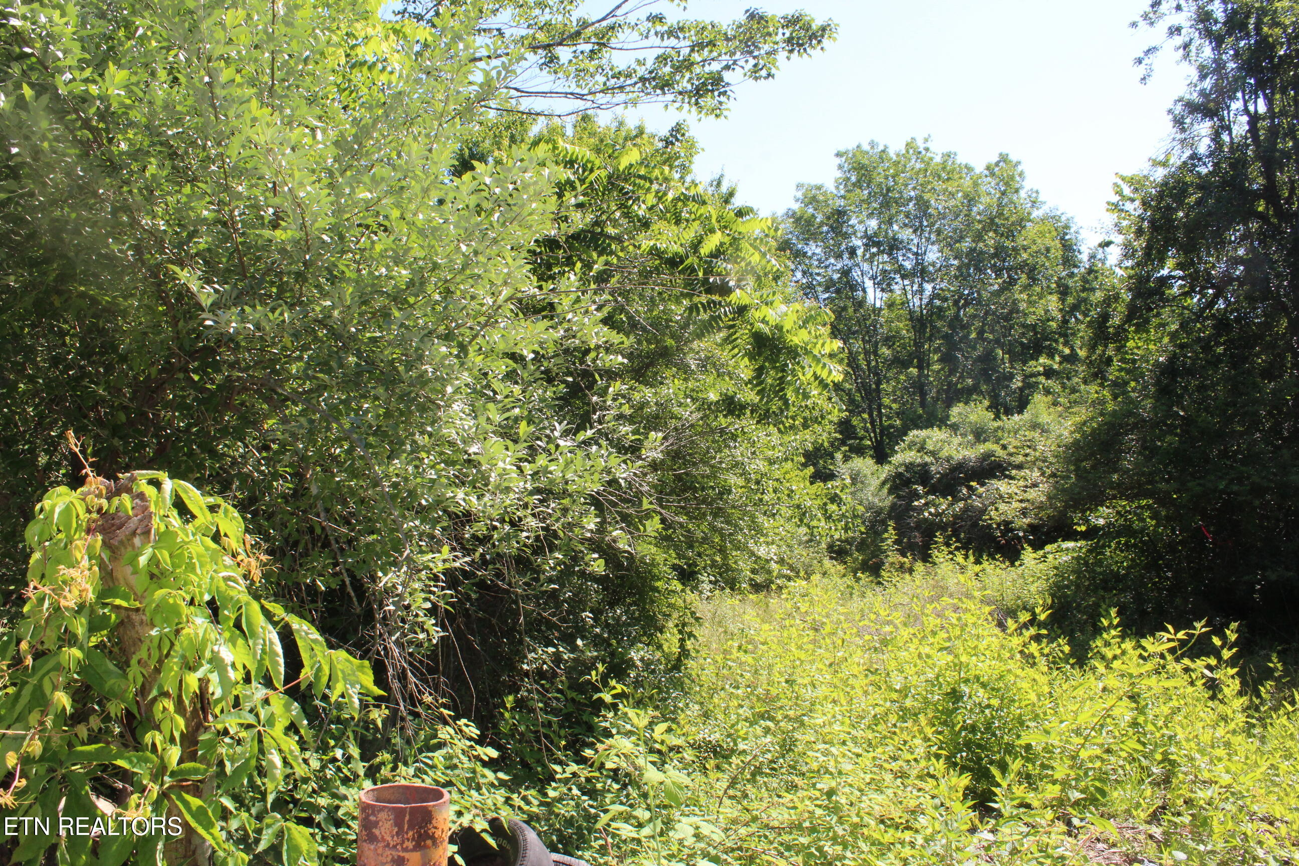 Goney Road Grimsley TN 38565