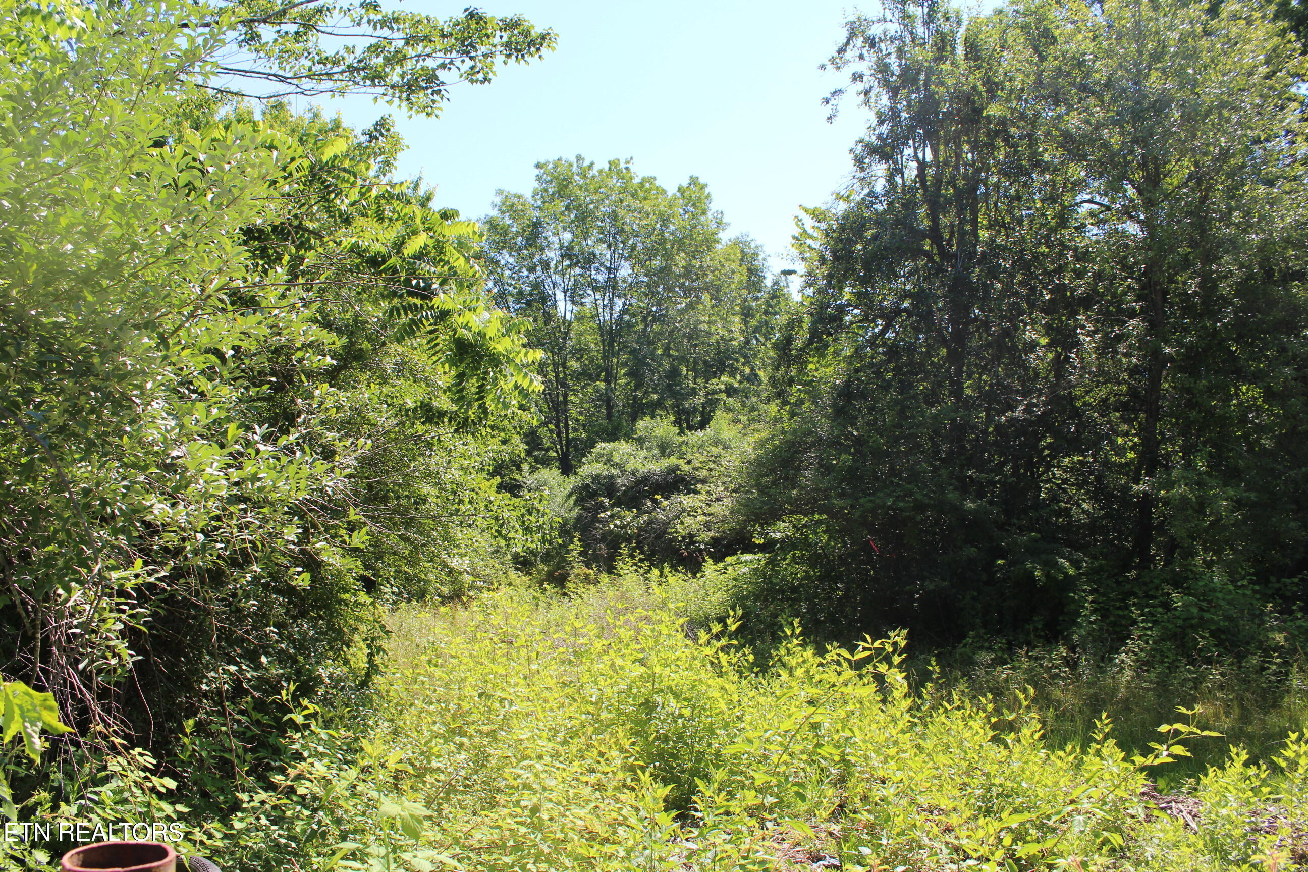 Goney Road Grimsley TN 38565