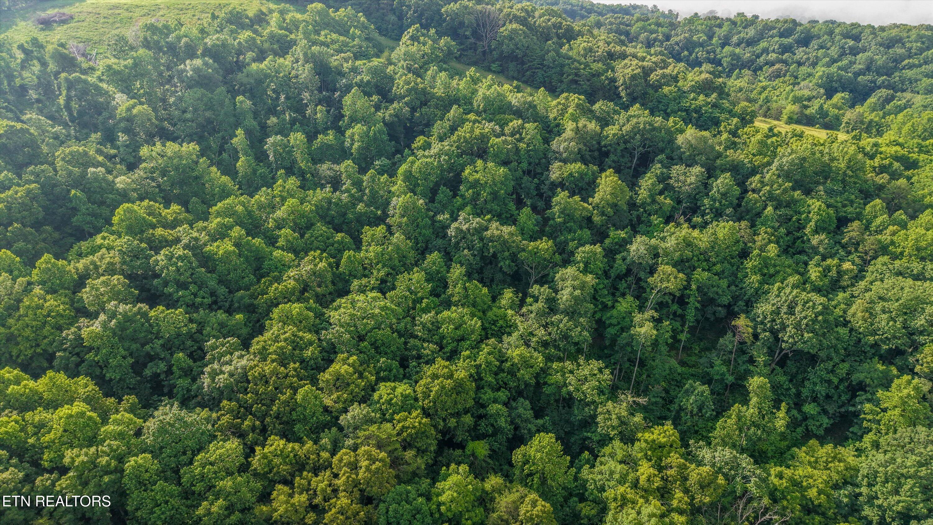 Lot 2 Graves Hollow Road Maynardville TN 37807
