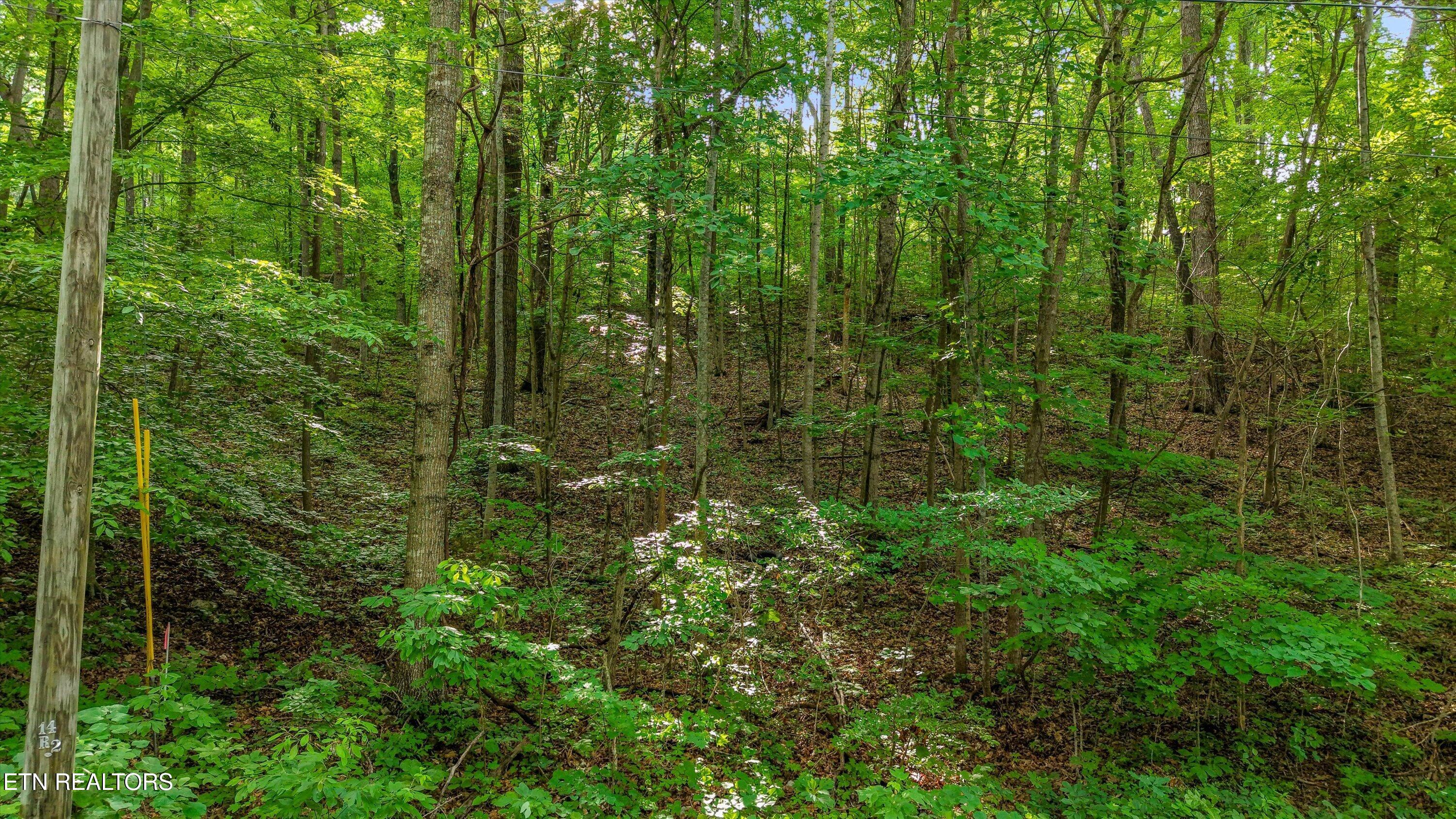 Lot 2 Graves Hollow Road Maynardville TN 37807